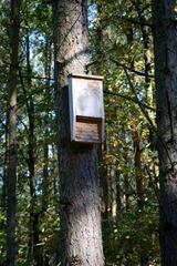 Killikus&reg; Fotographie